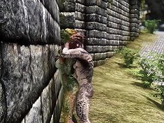 Sex Among Skyrim Characters In Solitude